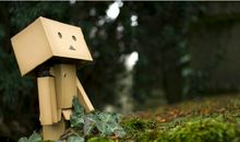 你就像天上的星,我只能抬头仰望