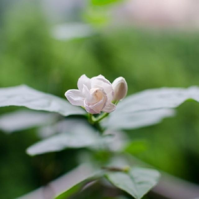 励志口号
