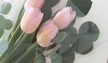 让人一看就赞的说说句子 朋友圈有意思的句子