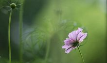 男生每天逗你开心的句子