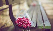 表示开心的优美句子