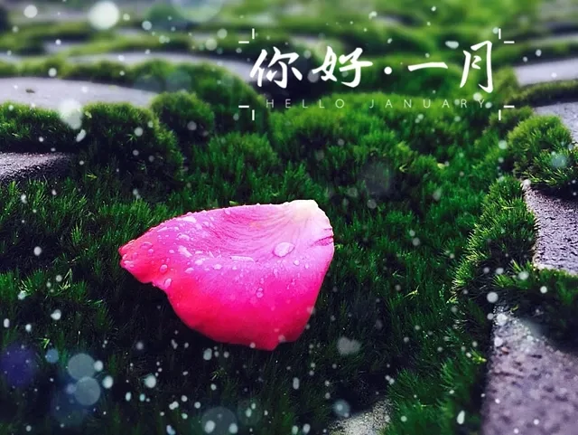 关于1月份的美感句子1月你好文字图片1