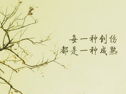 人生见解谈论：人生的最高境界...