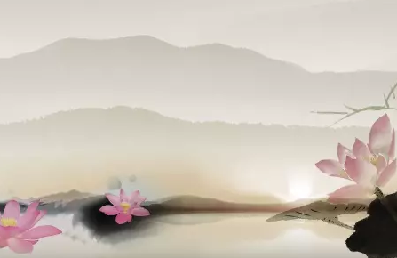 莲1的句子