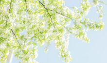 描写古代亲情的句子