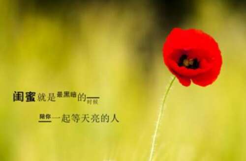 朋友加持1