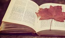 描写秋夜的句子