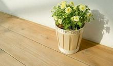 亲兄弟相聚开心的句子