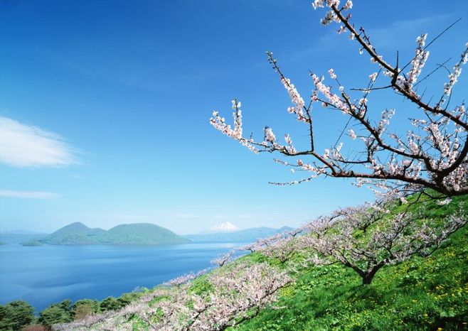 美丽的句子1
