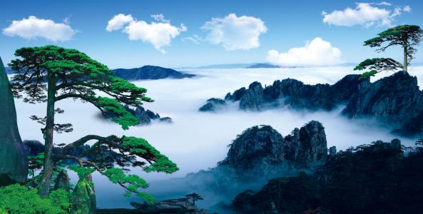 漂亮的句子2