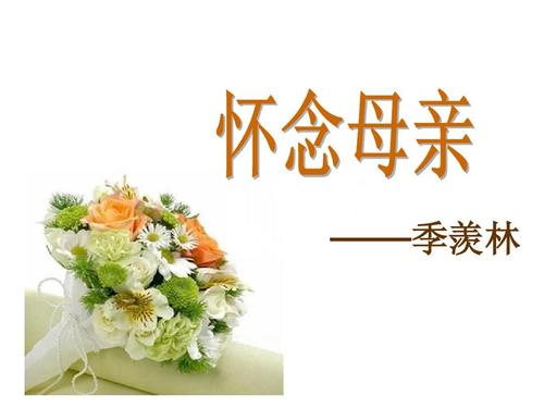 妈妈小姐句子