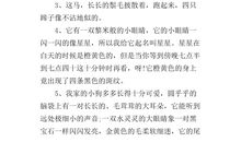 描写爸爸外貌的句子