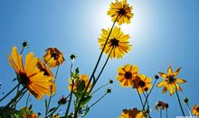 有关亲情的抒情的句子