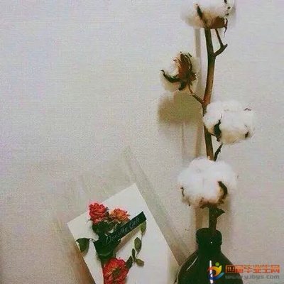 问候与祝福1