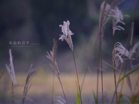 10.过去的自我绑架现在的自我并不容易。让现在的自我讨厌未来的自我并不容易。将来您现在很难后悔自己的这一刻。
