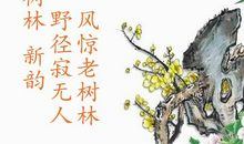 用柳抒情的诗句