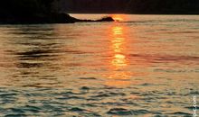 诗经中与亲情有关的句子