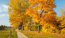 最新描写秋天的句子