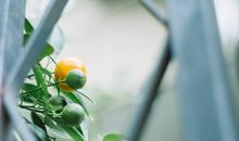 微笑治愈开心的句子