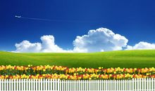 描写大自然景物的句子