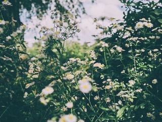 12.如何喊叫我不会感到沮丧，如何面对它，以便不会感到遗憾。在寂静的夜晚，我感到难过，迷失，无法游泳。