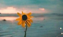 开心励志的句子图片