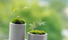 谦虚谨慎的名言