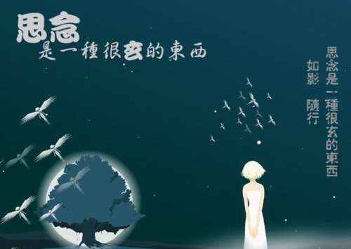 关于小姐的句子