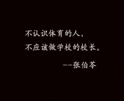 张伯ling行情1