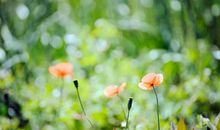 关于亲情励志煽情的句子说说心情