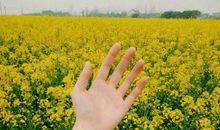 秋天旅游开心的句子说说心情短语