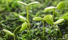 享受着亲情补充句子