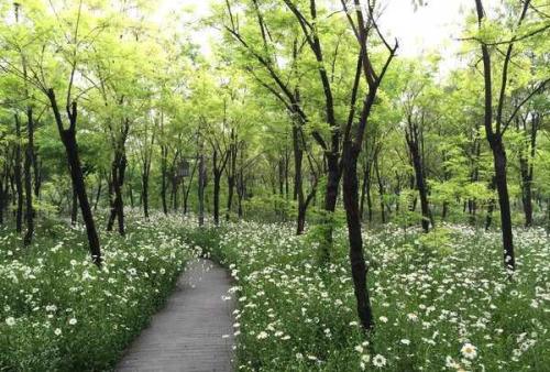 12.父亲的爱是一座高山，因此即使您经受风，霜，雨和雪的侵害，您的身心也会平静而坚定；父亲的爱是一片大海，所以即使遇到闪电和雷声，您的灵魂仍然是善良而宽容的。