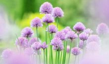 割舍不下的亲情的句子