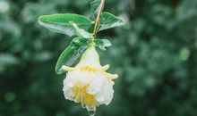 相册制作的开心的句子