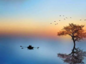 9.在另一个国家徘徊十多年，我们记忆中的故乡永远不会改变。我们将非常准确地告诉每一个细节，但是当我们回到祖国时，我们发现变化太大了。今天早上去儿童孤儿院。我已经去过这么多年了，对吗？我仍然记得我多年前去时的失望，对儿童孤儿院管理的失望，对在这种环境中成长的儿童状况的失望。