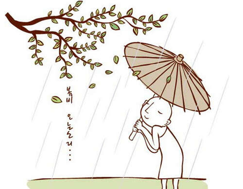 50句话描述夏雨