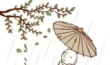 描写夏雨的句子50句