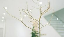 夜晚抒情开心的句子