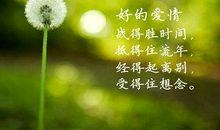 感悟生命的优美句子