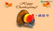 有关感恩节的文章句子