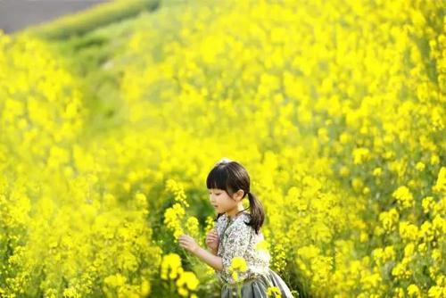 11.扫墓节就在这里，我希望你：放开工作，放松疲惫的身体，烦躁不安，享受散步，享受美丽的春天风景，欣赏美丽的风景，并休息愉快。 ，有足够的时间玩！