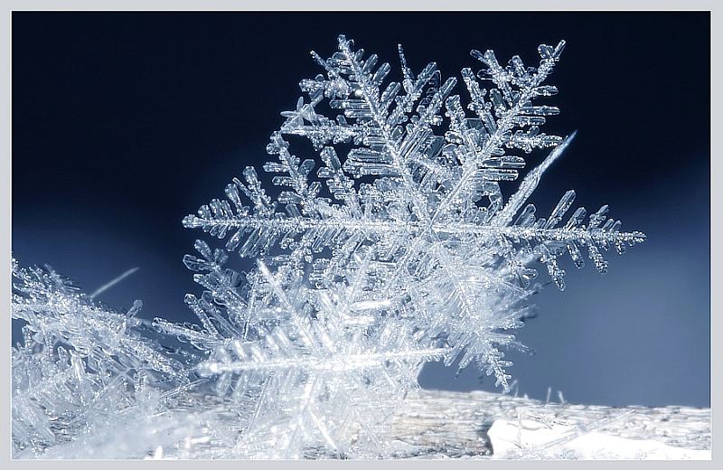 雪花句子