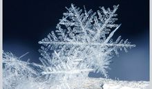 有关雪花的句子