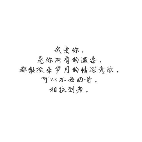 我爱你句子