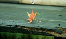 达到目的却不开心的句子