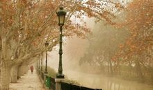 思念亲情句子说说心情