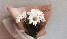 好听的句子但不要太长85句