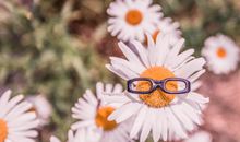 我不是你的备胎心碎的句子