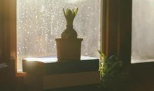 吃美食发朋友圈开心的句子